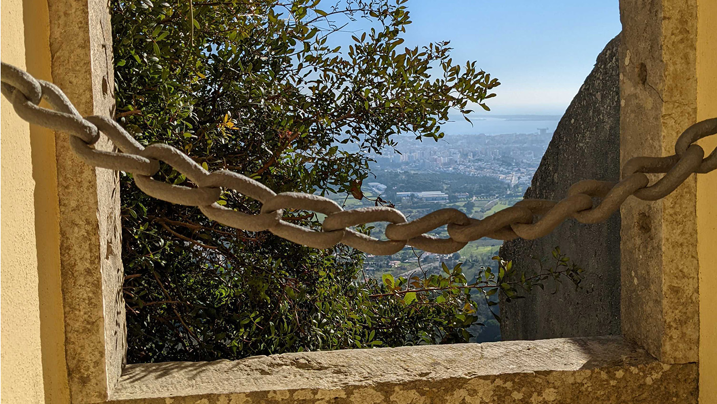 Opening up the Black Box